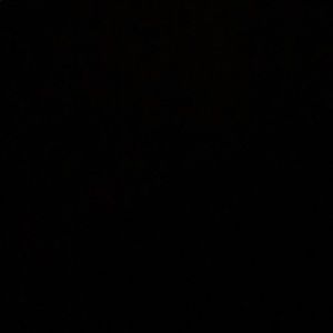 Meet your Posher, Bella